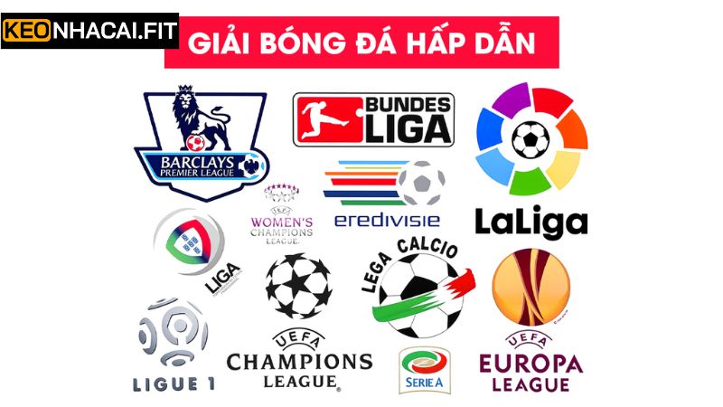 Lịch Thi Đấu Bóng Đá Hôm Nay 3 Lịch diễn ra các giải đấu được nhiều người quan tâm