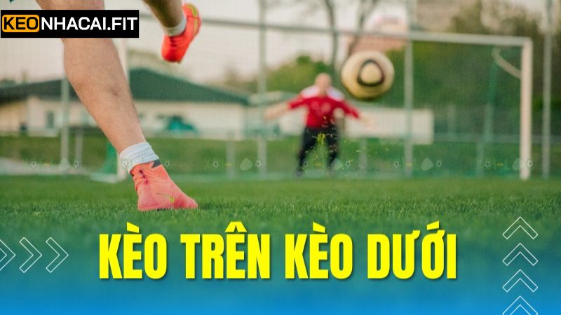 Kèo Trên Kèo Dưới - Cơ Hội Nhận Thưởng Thú Vị Và Nổi Trội 2 Những loại kèo trên kèo dưới hấp dẫn hàng đầu