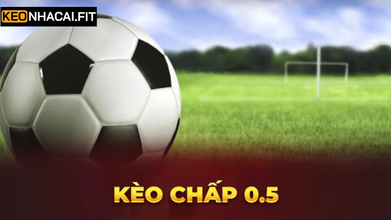 Kèo Chấp 0.5 - Kinh Nghiệm Đặt Cược Luôn Thắng Từ Cao Thủ 2 Chia sẻ phương pháp đọc kèo chấp 0.5 hiệu quả