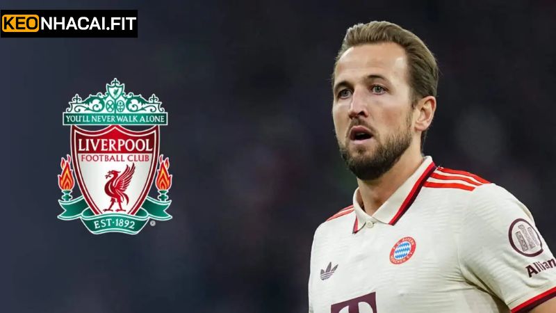 Harry Kane Tìm Đường Về Liverpool Gây Chấn Động Lớn 3 Những tác động của việc chàng cầu thủ quay về với Liverpool