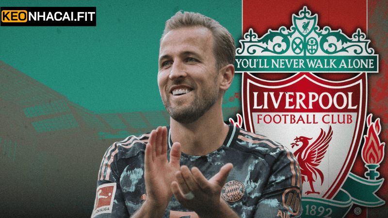 Harry Kane Tìm Đường Về Liverpool Gây Chấn Động Lớn 2 Những lý do cần thiết khi Harry Kane tìm đường về Liverpool