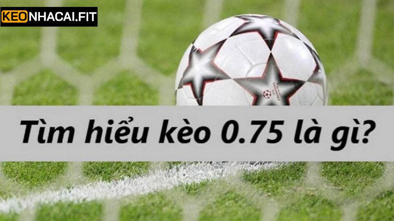 Kèo Chấp 0.75 - Cách Đọc Và Bí Quyết Soi Kèo Toàn Thắng 1 Thông tin cơ bản về kèo chấp 3/4 trái trong cá độ bóng đá