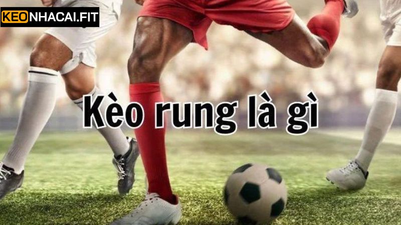 Kèo Rung - Cách Bắt Kèo Hiệu Quả Cho Người Chơi Mới 1 Tổng quát thông tin về hình thức rung kết quả