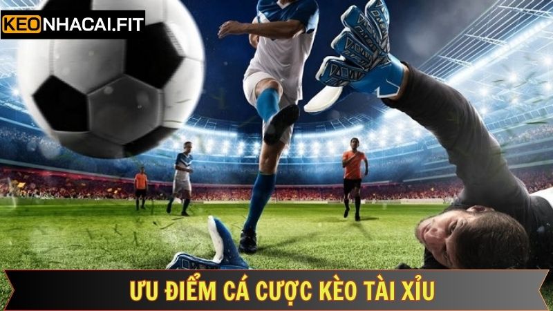 Kèo Tài Xỉu - Cá Cược Thể Thao Trực Tuyến Cuốn Hút, Hấp Dẫn 2 Khám phá những ưu điểm tuyệt vời của cược tài xỉu được đánh giá cao
