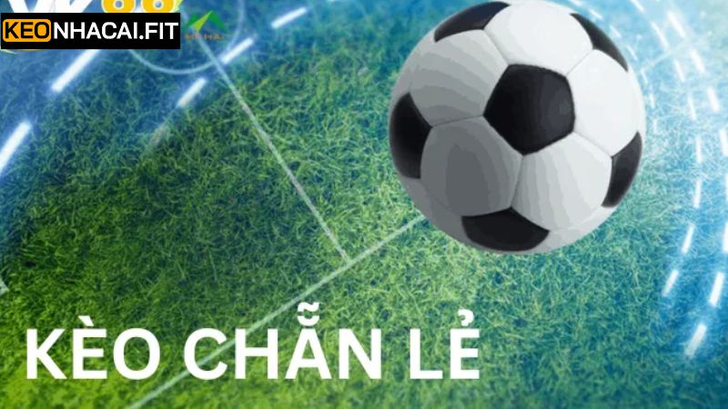 Cược Chẵn Lẻ - Chiến Thắng Các Trận Đấu Một Cách Dễ Dàng 2 Tổng hợp một số hình thức kèo chẵn lẻ nổi tiếng