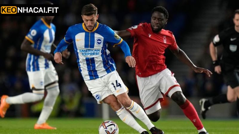 Soi Kèo Brighton Hove Albion Vs Nottingham Forest 00h15 Ngày 30/3 3 Phân tích Soi kèo Brighton Hove Albion vs Nottingham Forest