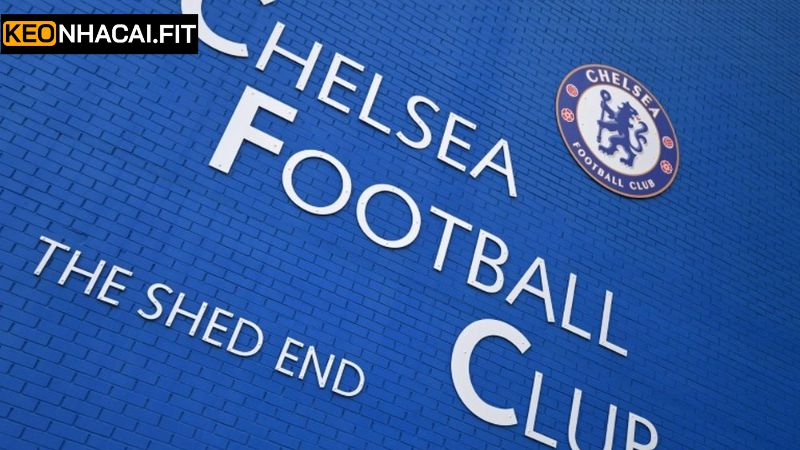 CLB Chelsea Là Gì? Biểu Tượng Bộ Môn Bóng Đá Tại Nước Anh 1 Giải thích vài điều cơ bản cho câu hỏi CLB Chelsea là gì