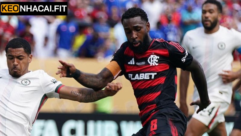 Nhận Định Los Angeles FC Vs Flamengo Vào 8h00, 25/6 Từ Keonhacai 1 Lịch sử đối đầu đội Los Angeles FC vs Flamengo