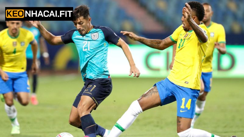 Nhận Định Ecuador Vs Brazil, 06h00 Ngày 6/6 Cùng Keonhacai 3 Dự đoán cược châu Âu của cuộc chiến Ecuador vs Brazil
