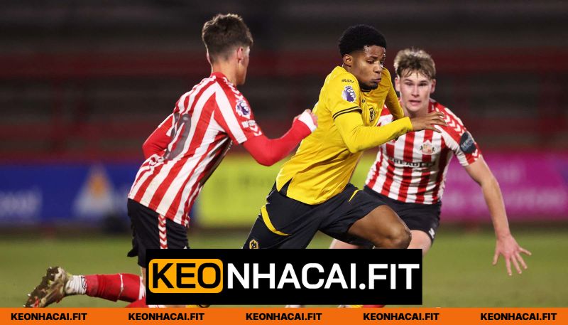 Nhận Định Wolves Vs Sunderland Lúc 21H00 Ngày 02/05 - Premier League 2 Nhận định Wolves vs Sunderland về phong độ