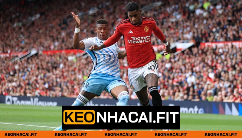 Nhận Định Manchester United vs Nottingham Forest Lúc 18H30 Ngày 17/05 - Ngoại Hạng Anh 2 Hiệu suất mới nhất Manchester United vs Nottingham Forest