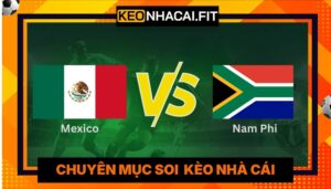 Nhận Định Mexico Vs Nam Phi Lúc 02h00 Ngày 12/06 - World Cup
